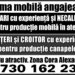 Tamplari, tapiteri si croitori pentru firma de mobila.